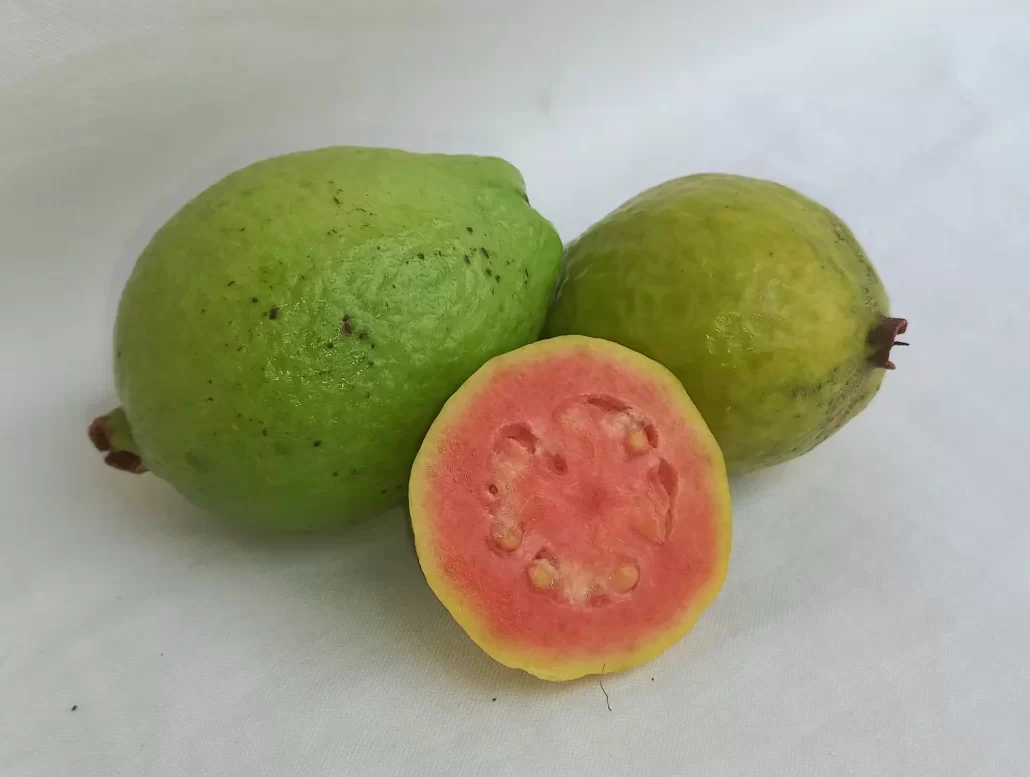 Guayaba de Pica